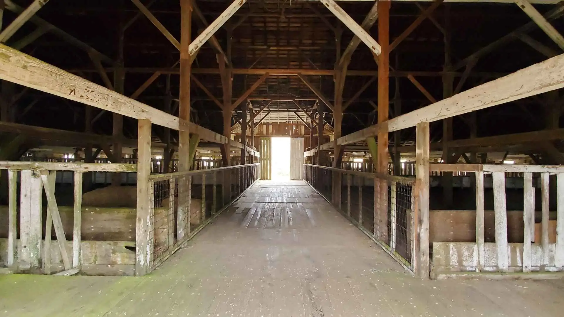 Relationship between Barn Lighting and Animal Health