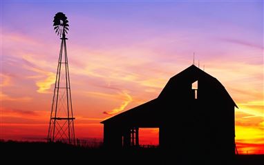 Importance of Barn Ventilation Systems