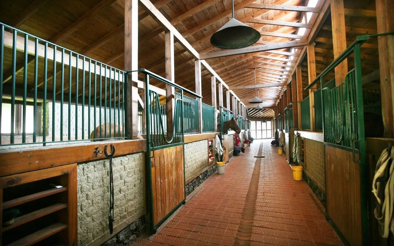 Where are horses housed?