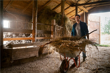 How Should Barn Ventilation Be?