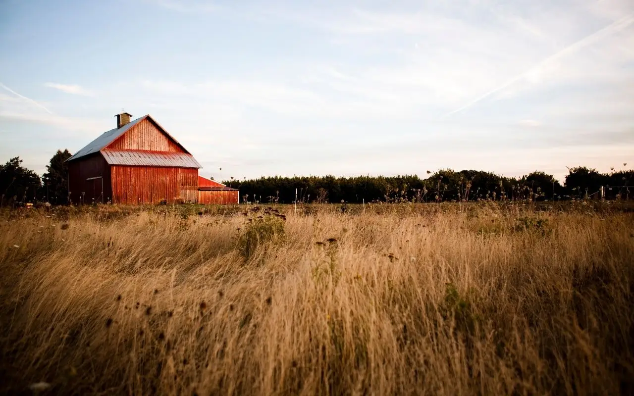 Barn Ventilation for Sustainable Farm Businesses